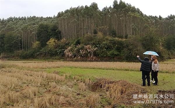 辽阳市陈老师带着爱徒寻龙点穴